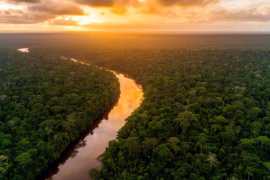 Quel est le prix du vol pour la Guyane : explorez les offres avantageuses
