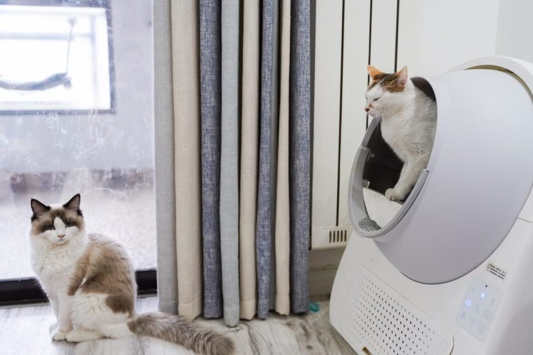 Les meilleurs bacs à litière pour chats