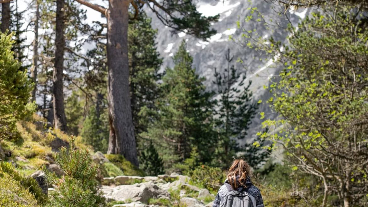 Voyager en famille : les meilleures destinations d'écotourisme 2026