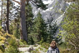 Voyager en famille : les meilleures destinations d'écotourisme 2026