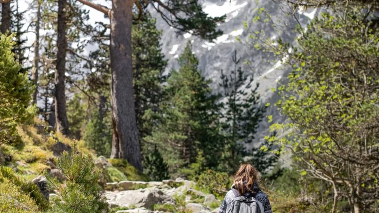 Voyager en famille : les meilleures destinations d'écotourisme 2026