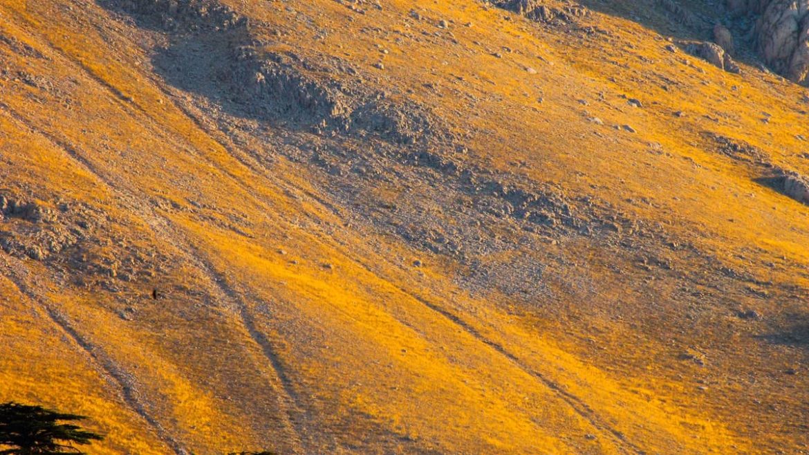 5 meilleures destinations plein air France automne 2026